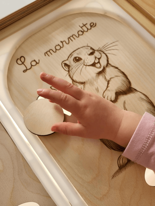 La marmotte