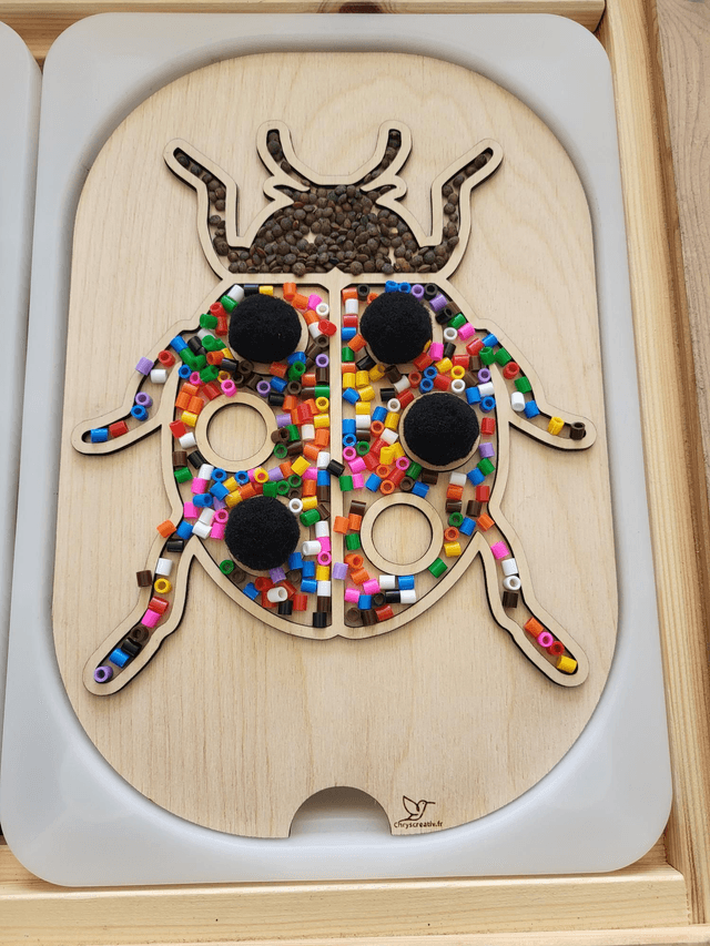 La coccinelle à remplir 