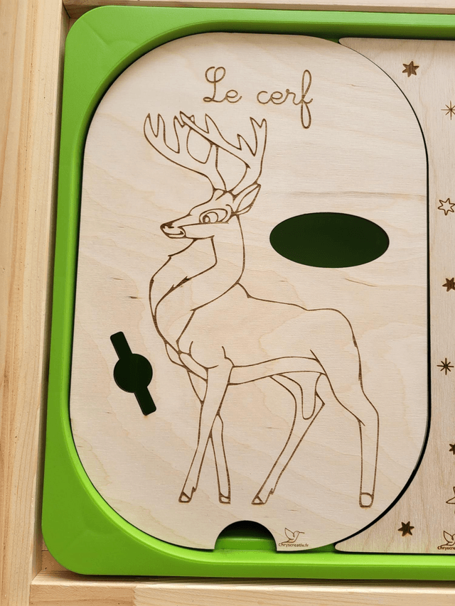 Le cerf