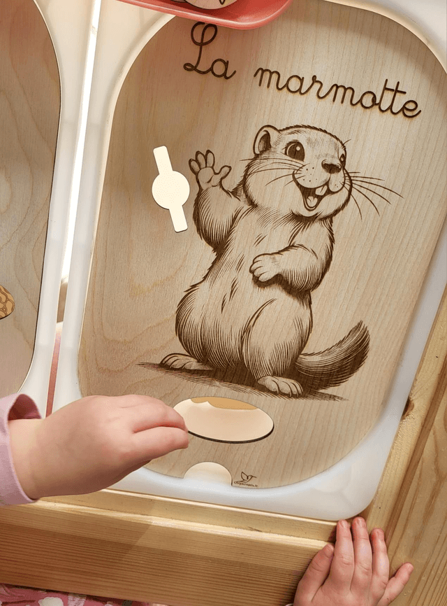 La marmotte