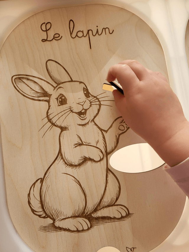 Le lapin