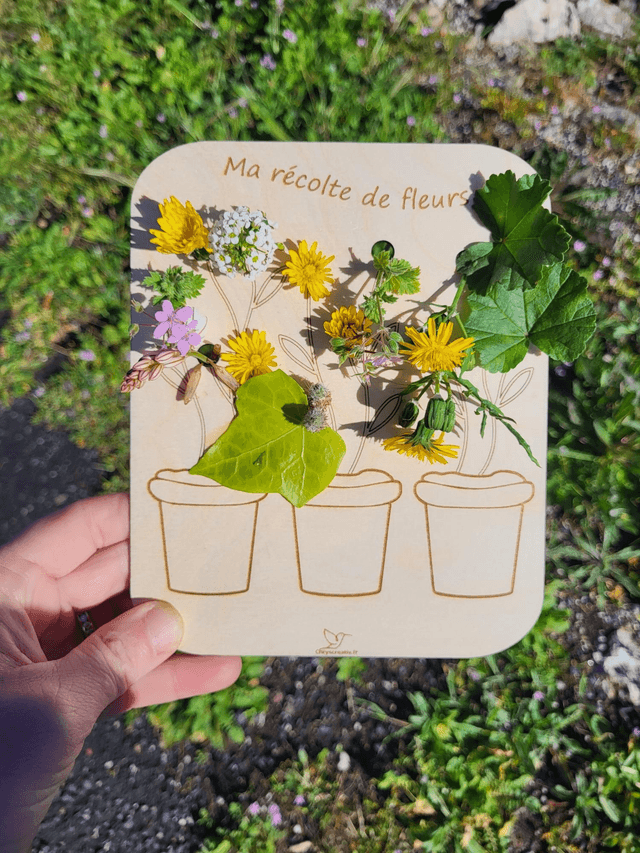 Collecteur récolteur de fleurs plusieurs modeles