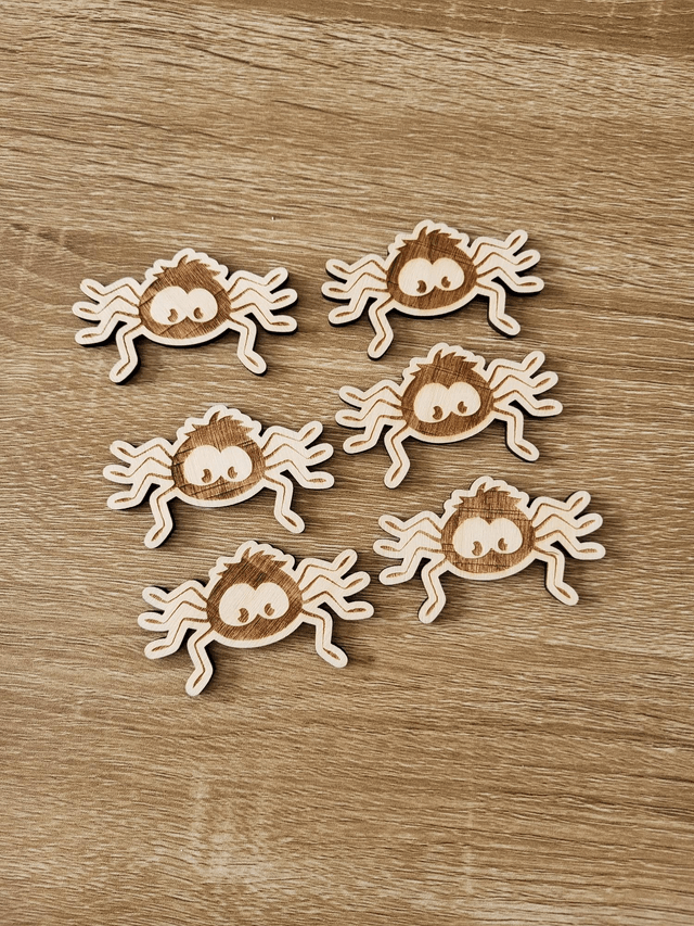 6 araignées 