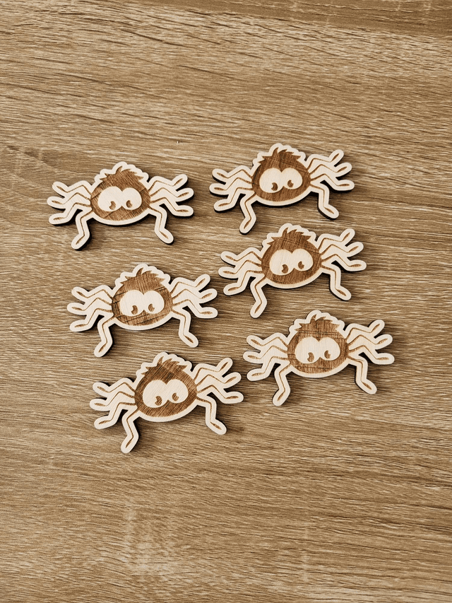 6 araignées 